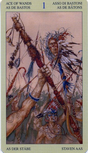 Native American Tarot by Laura Tuan