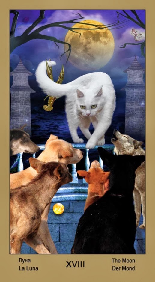 Таро Катавасия (Tarot Cat-A-Vasya)