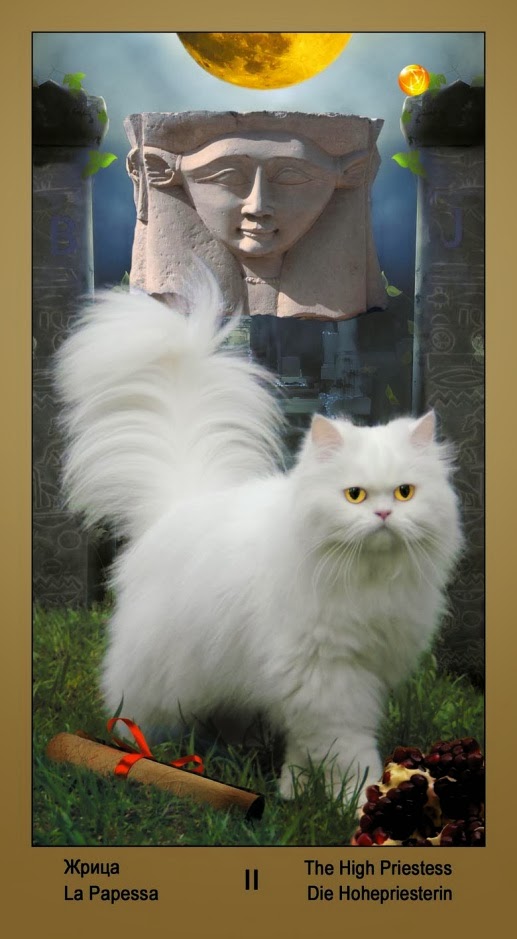 Таро Катавасия (Tarot Cat-A-Vasya)
