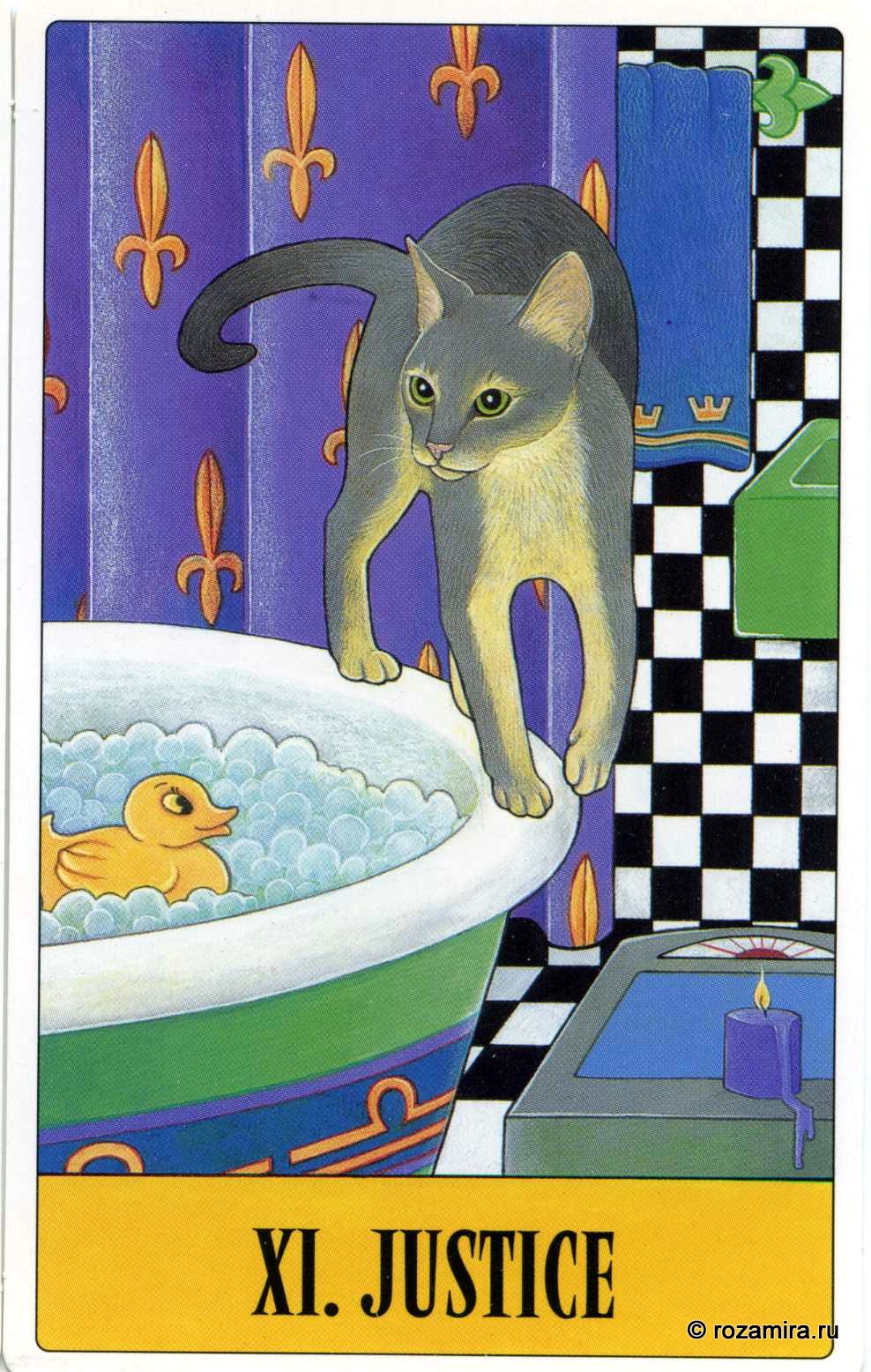 Tarot for Cats