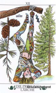 Madru. Das Baum-tarot