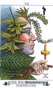 Madru. Das Baum-tarot