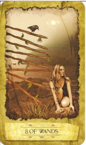 Mystic Dreamer Tarot2