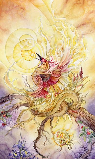 Shadowscapes Tarot