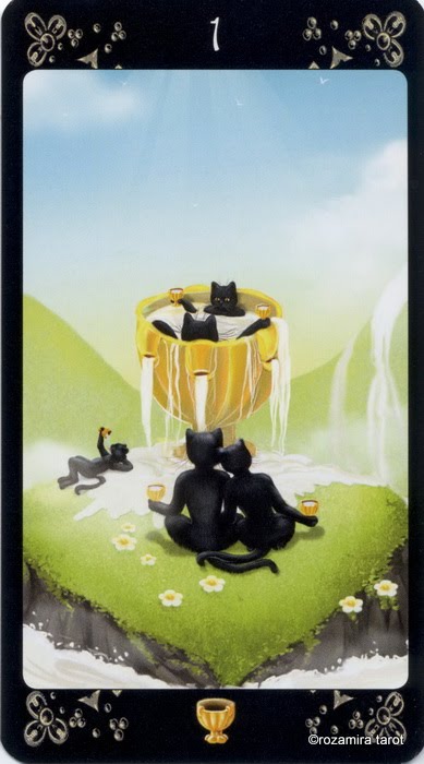 Black Cats Tarot