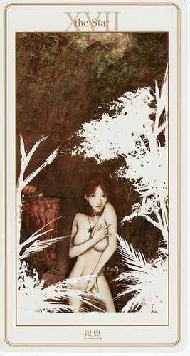 Lunatic Tarot (Card Edition)