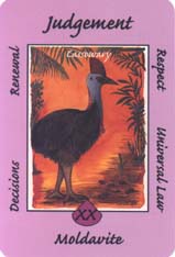 Australian Animal Tarot