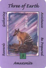 Australian Animal Tarot