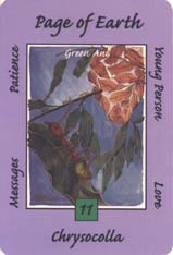 Australian Animal Tarot