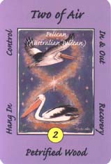 Australian Animal Tarot