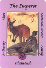 Australian Animal Tarot