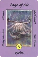 Australian Animal Tarot