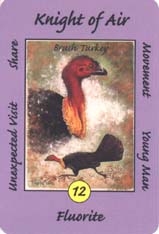 Australian Animal Tarot