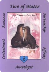 Australian Animal Tarot