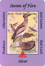 Australian Animal Tarot