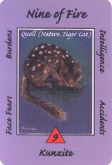 Australian Animal Tarot