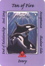 Australian Animal Tarot