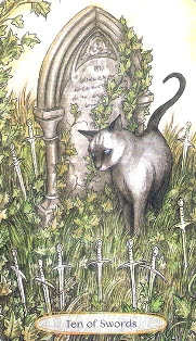 Soul Cats Tarot