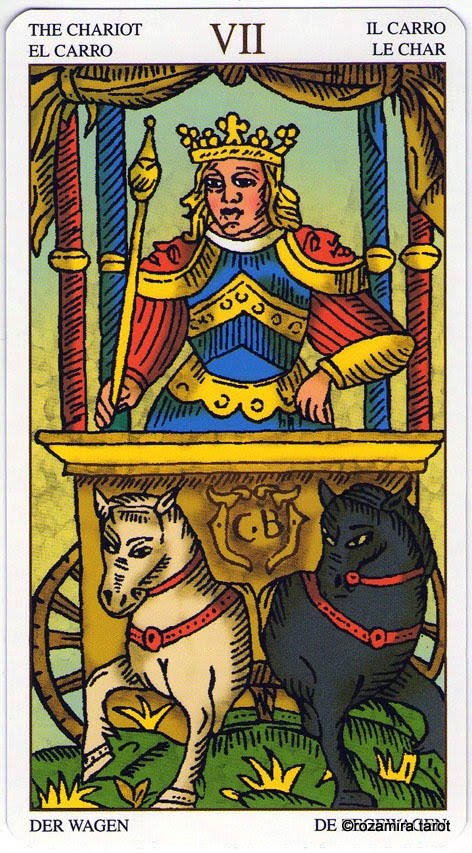 Universal Tarot Of Marseille (LS)