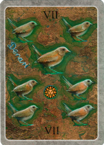 Secret Language of Birds Tarot