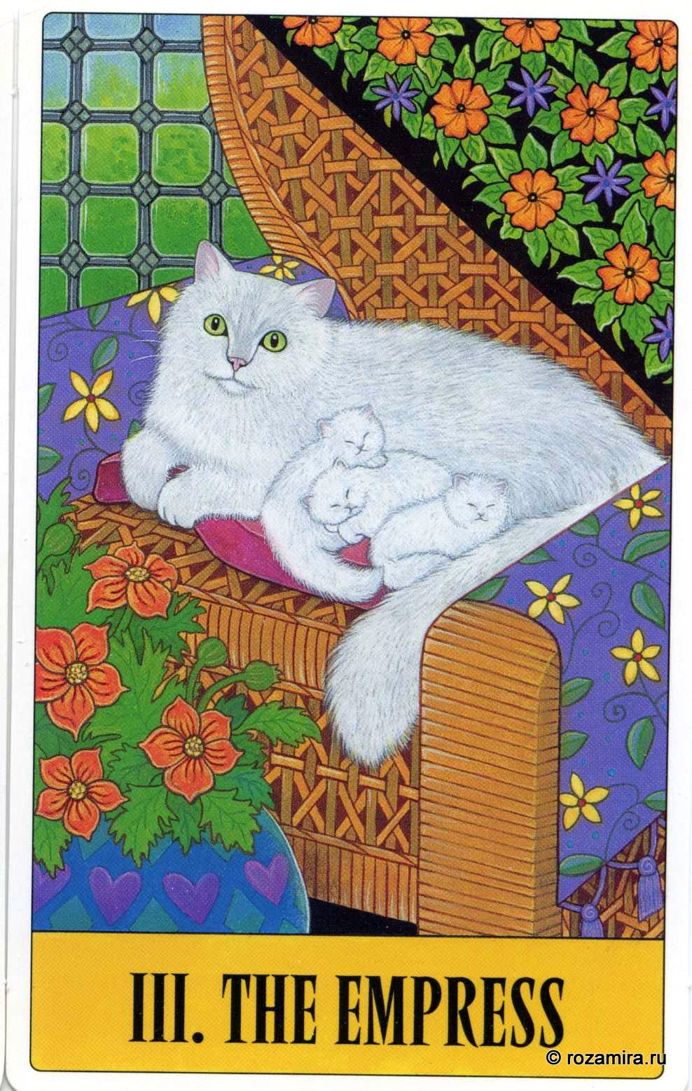 Tarot for Cats