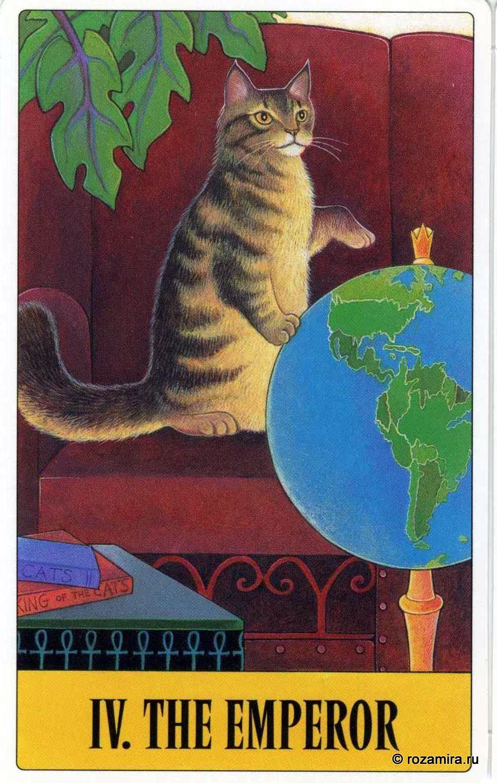 Tarot for Cats