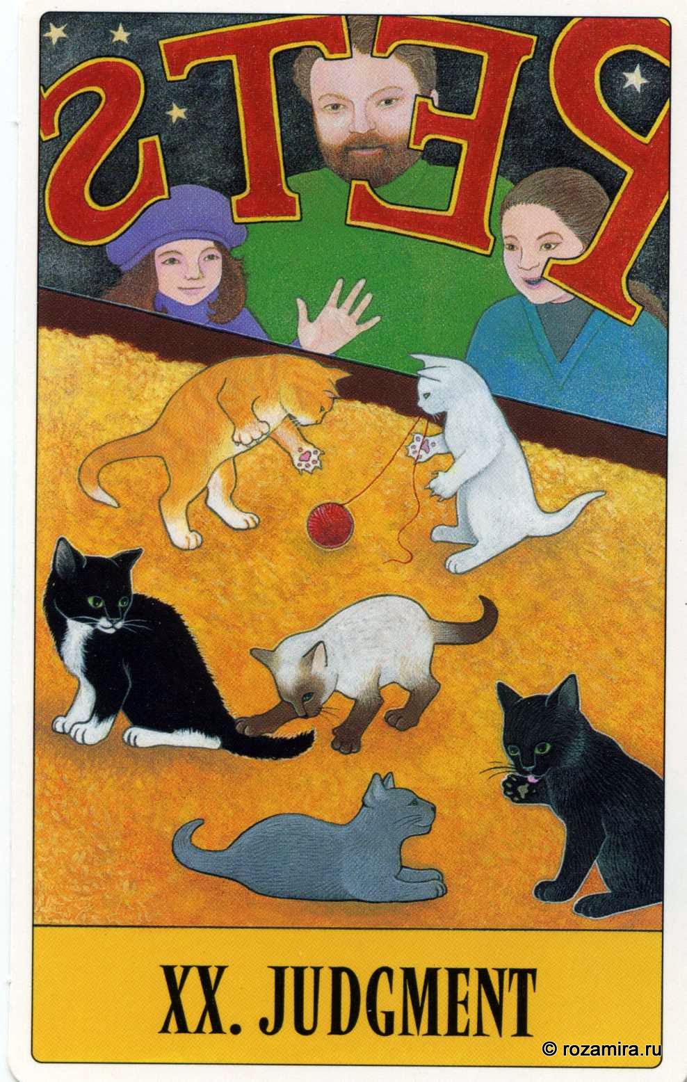 Tarot for Cats