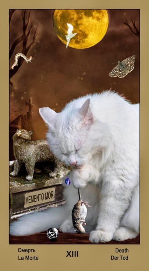 Таро Катавасия (Tarot Cat-A-Vasya)