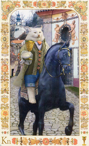 Baroque Bohemian Cats