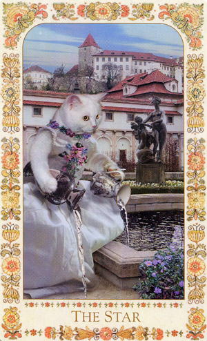 Baroque Bohemian Cats