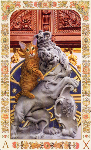 Baroque Bohemian Cats