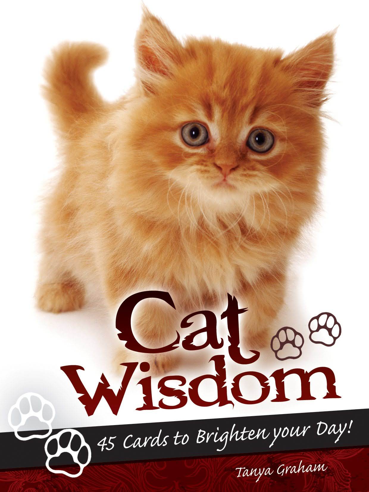 Cat Wisdom (2018)