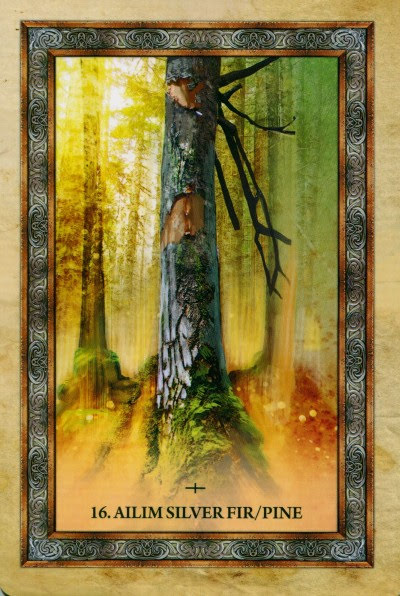 Celtic Tree Oracle - Кельтский Оракул Деревьев