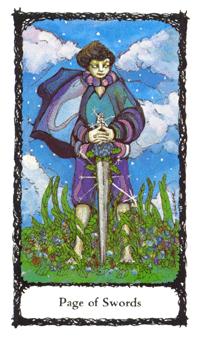 The Sacred Rose Tarot