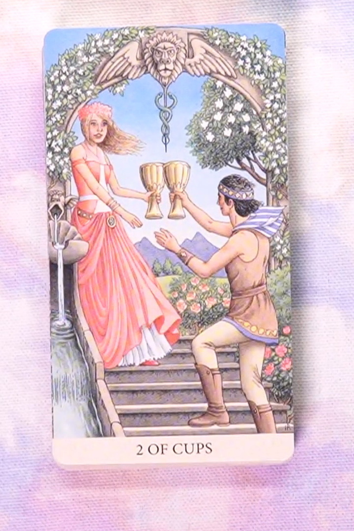 Tarot of the Longest Dream