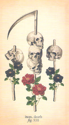 Antique Anatomy Tarot