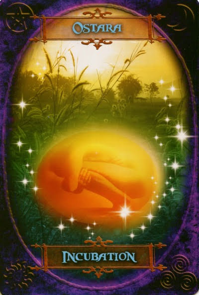 Witches Wisdom Oracle Cards