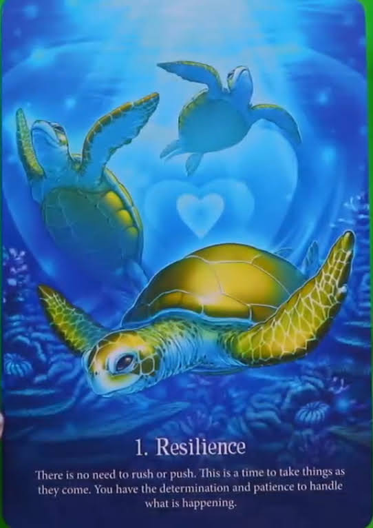 Whispers of the Ocean Oracle Cards