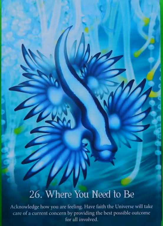 Whispers of the Ocean Oracle Cards