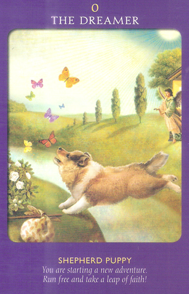 Animal Tarot Cards