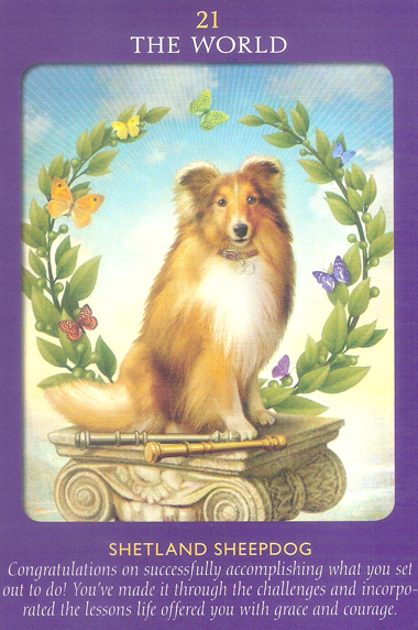 Animal Tarot Cards