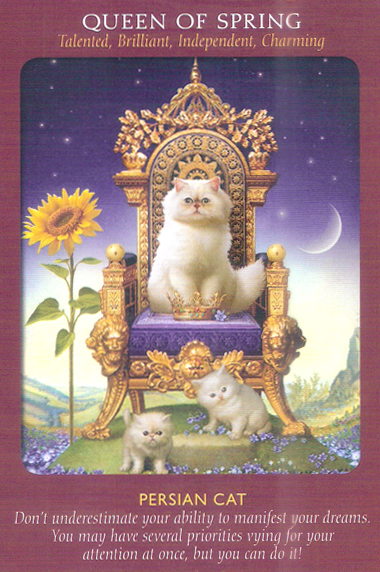 Animal Tarot Cards