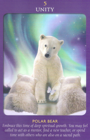 Animal Tarot Cards