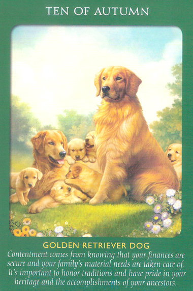 Animal Tarot Cards