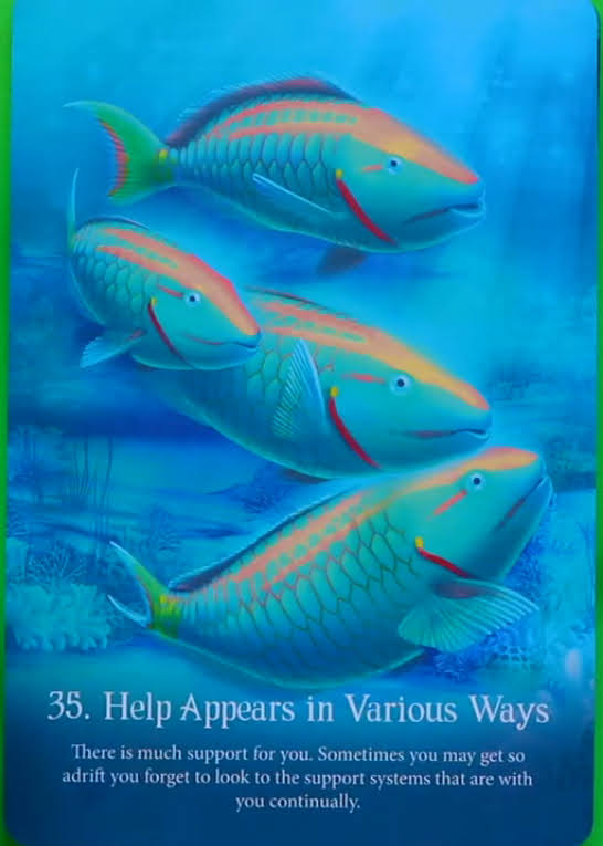 Whispers of the Ocean Oracle Cards