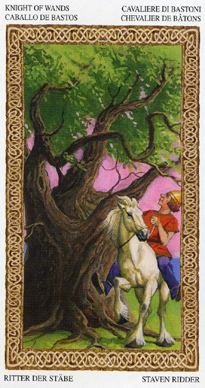 Tarot of Druids