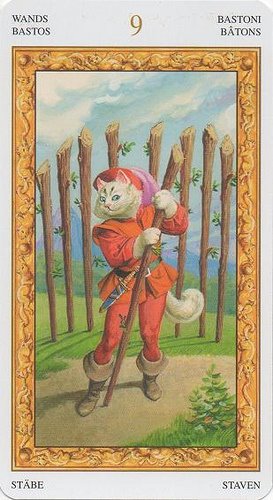 Tarot of White Cats