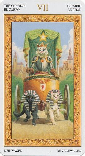 Tarot of White Cats