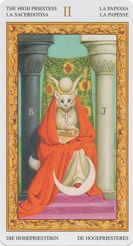 Tarot of White Cats