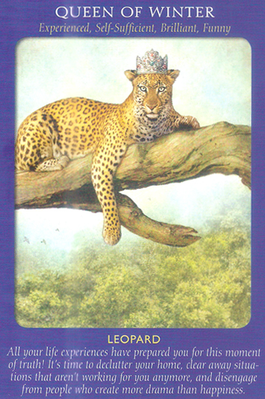 Animal Tarot Cards